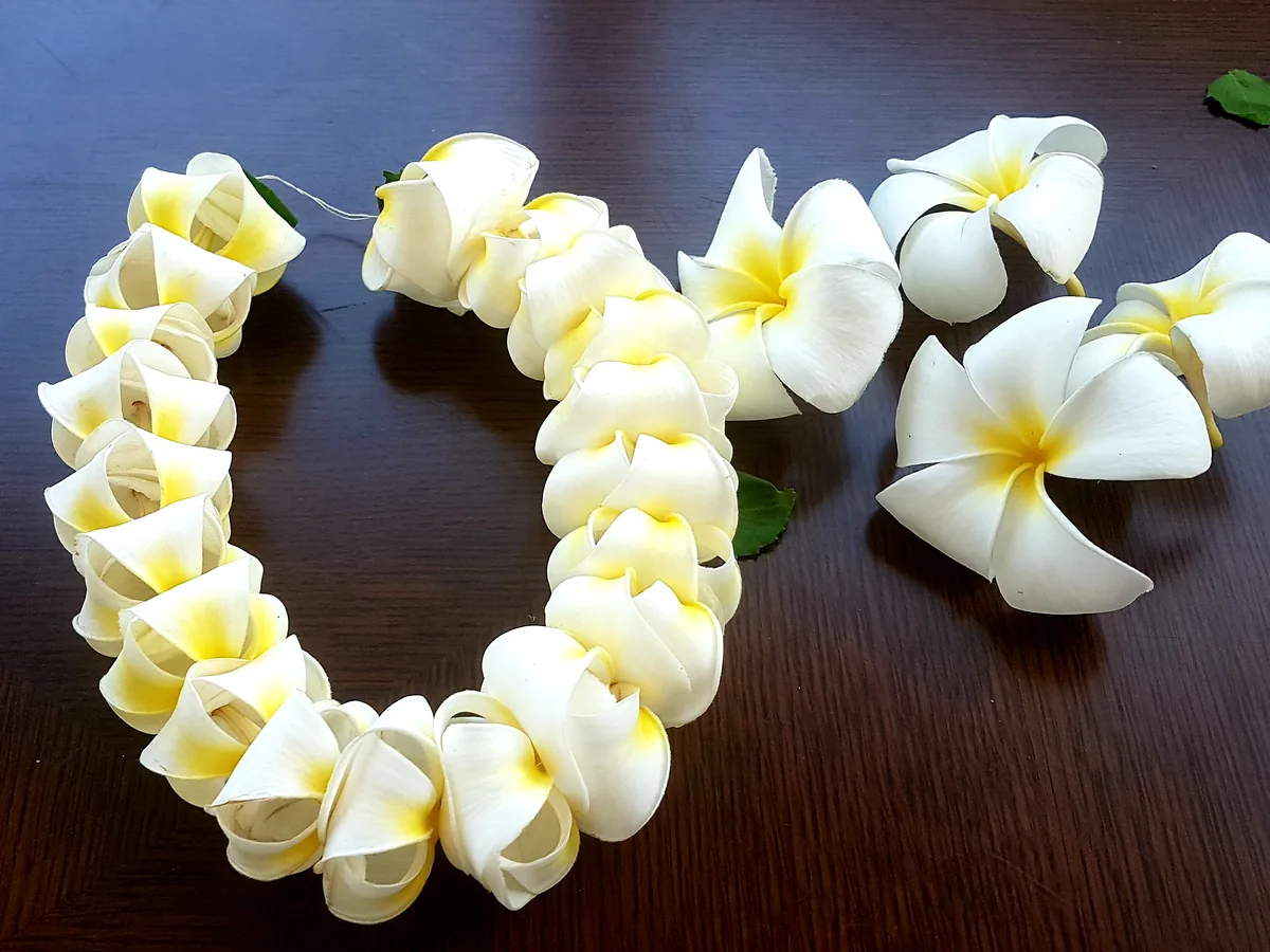 Ręcznie wykonany naszyjnik lei z kwiatów plumeria ułożony w kształt serca na ciemnym drewnianym stole