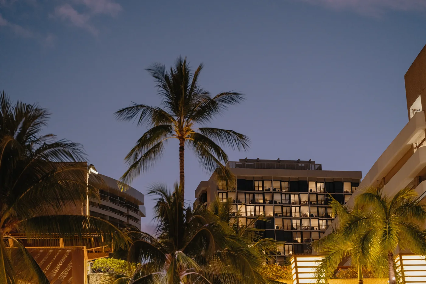 Palmy na tle oświetlonych balkonów hotelowych w Waikiki o zmierzchu